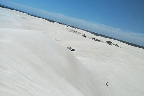 Yanchep & Lancelin - Wildlife, Cave And Sands - Kawana Tourism 3