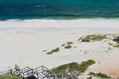 Yanchep & Lancelin - Wildlife, Cave And Sands - Kawana Tourism 4