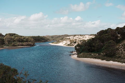 Yanchep & Lancelin - Wildlife, Cave And Sands - Kawana Tourism 6