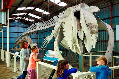Albany\'s Historic Whaling Station Admission Ticket - Kawana Tourism 1
