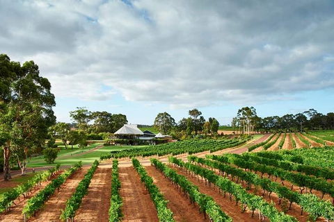 Vasse Felix Winery Tour And Tasting - Kawana Tourism 2
