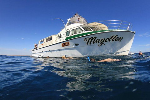 Ningaloo Reef Whale Shark Snorkeling Adventure Apr-July - Kawana Tourism 13