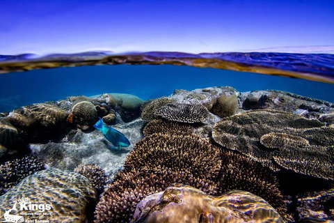 Ningaloo Reef Whale Shark Snorkeling Adventure Apr-July - Kawana Tourism 8