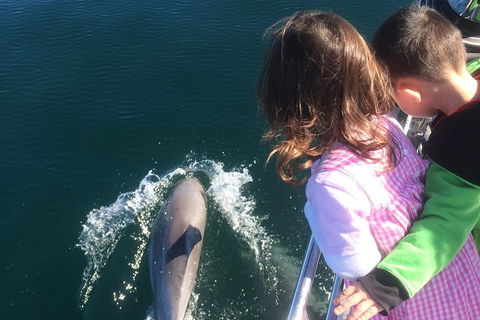 Sunset Sail Cruise Out Of Fremantle - Kawana Tourism 1