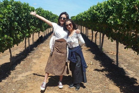 VIP Swan Valley Wine Tour - Premium Small Group Wine & Gourmet Experience - Kawana Tourism 3