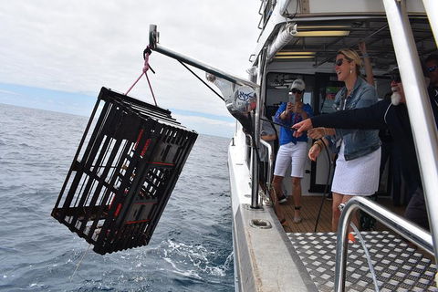 Rottnest Island Wild Seafood Package With Round Trip Ferry From Fremantle - Kawana Tourism 1