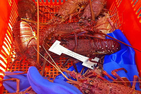 Rottnest Island Wild Seafood Package With Round Trip Ferry From Fremantle - Kawana Tourism 6