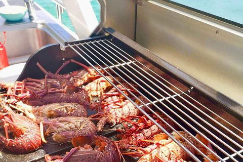 Rottnest Island Day Tour With Wild Seafood Banquet Cruise - Kawana Tourism 16