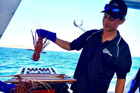 Rottnest Island Day Tour With Wild Seafood Banquet Cruise - Kawana Tourism 7