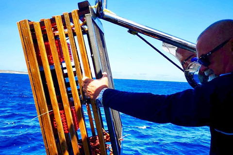 Rottnest Island Day Tour With Wild Seafood Banquet Cruise - Kawana Tourism 9