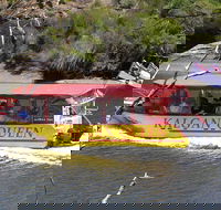 Kalgan Queen Scenic Cruises a four hour sheltered water wildlife tour daily fun. - Kawana Tourism