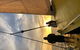 Fremantle Sunset Sail On WA\'s Iconic Yellow Catamaran - thumb 10