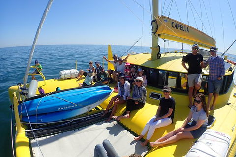 Fremantle Sunset Sail On WA\'s Iconic Yellow Catamaran - Kawana Tourism 6