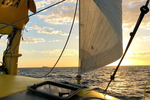 Fremantle Sunset Sail On WA\'s Iconic Yellow Catamaran - Kawana Tourism 9