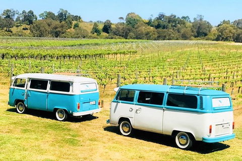VW Kombi Wine Tour In The Swan Valley - Kawana Tourism 6