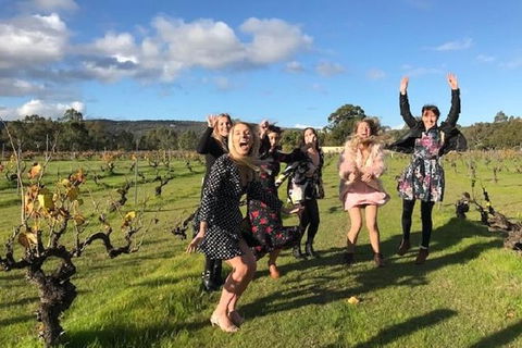 VW Kombi Food, Wine And More Tour (bring The Kids!) - Kawana Tourism 3