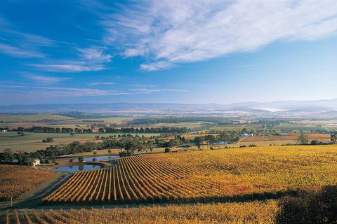 Half Day Yarra Valley Winery Day Trip From Melbourne - Kawana Tourism 2