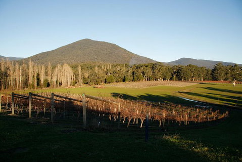 Half Day Yarra Valley Winery Day Trip From Melbourne - Kawana Tourism 6
