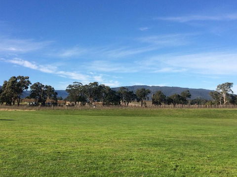 Yarra Valley Wineries And Puffing Billy Steam Train Tour From Melbourne - Kawana Tourism 17