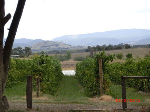 Yarra Valley Wineries And Puffing Billy Steam Train Tour From Melbourne - Kawana Tourism 25