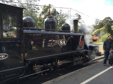 Yarra Valley Wineries And Puffing Billy Steam Train Tour From Melbourne - Kawana Tourism 13