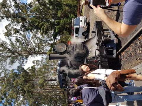 Yarra Valley Wineries And Puffing Billy Steam Train Tour From Melbourne - Kawana Tourism 5