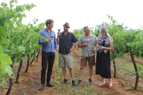 Yarra Valley Wineries And Puffing Billy Steam Train Tour From Melbourne - Kawana Tourism 29
