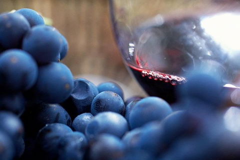 Small Group 6 Guests: Ultimate Yarra Valley Food And Wine - Mercedes Van - Kawana Tourism 4
