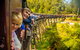 Half Day Puffing Billy Train Journey From Melbourne - thumb 0