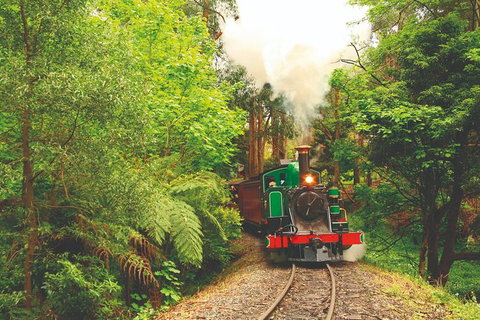 Half Day Puffing Billy Train Journey From Melbourne - Kawana Tourism 2
