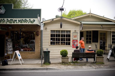 Half Day Puffing Billy Train Journey From Melbourne - Kawana Tourism 10