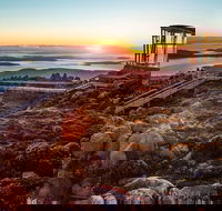 Shore Excursion Five of Hobart's Best In One Day