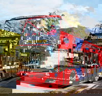 Hobart Hop-on Hop-off Bus Tour