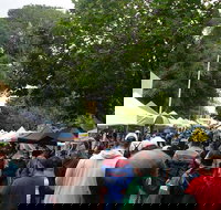 Hobart Half-Day Sightseeing Coach Tram Tour - Kawana Tourism