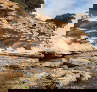 Maria Island premium private photo-oriented day tour from Hobart - Kawana Tourism