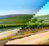 Full Day Tamar Valley Wine Tour - Kawana Tourism