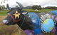 Cradle Mountain National Park Day Tour From Launceston - thumb 18