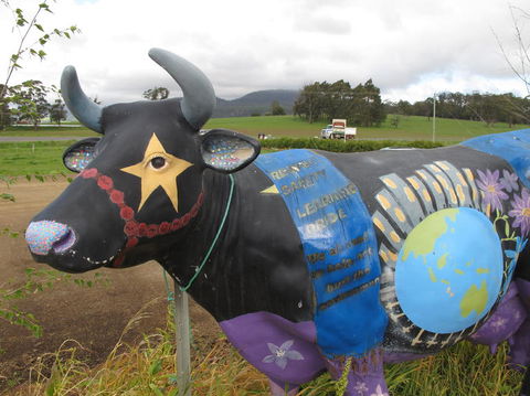 Cradle Mountain National Park Day Tour From Launceston - Kawana Tourism 18