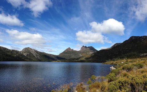 Cradle Mountain National Park Day Tour From Launceston - Kawana Tourism 12