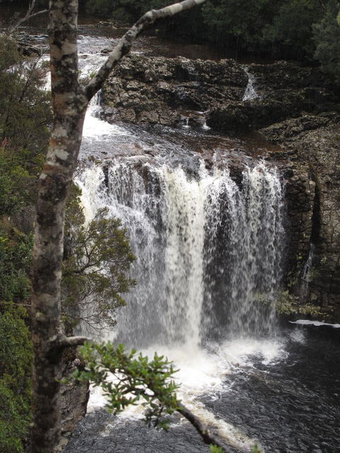 Cradle Mountain National Park Day Tour From Launceston - Kawana Tourism 3