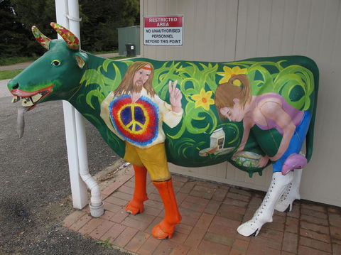Cradle Mountain National Park Day Tour From Launceston - Kawana Tourism 4