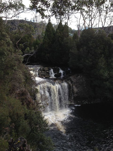 Cradle Mountain National Park Day Tour From Launceston - Kawana Tourism 5