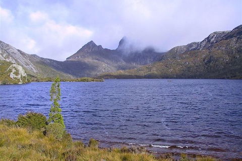 Cradle Mountain National Park Day Tour From Launceston - Kawana Tourism 21