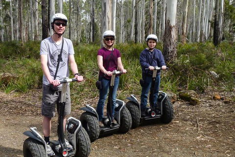 Hollybank Wilderness Adventures - Segway Tour - Kawana Tourism 1