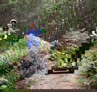 Hollybank Wilderness Adventures - Segway Tour - Kawana Tourism