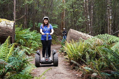 Hollybank Wilderness Adventures - Segway Tour - Kawana Tourism 0