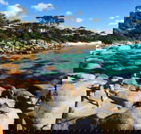 4-Day Tasmania East Coast Adventure from Launceston to Hobart Including Bay of Fires Wineglass Bay Bruny Island and Port Arthu - Kawana Tourism