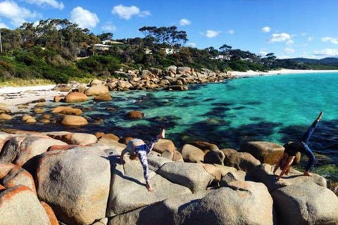 4-Day Tasmania East Coast Adventure From Launceston To Hobart Including Bay Of Fires, Wineglass Bay, Bruny Island And Port Arthu - Kawana Tourism 0