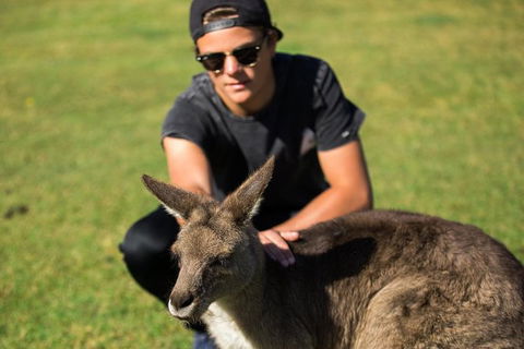 4-Day Tasmania East Coast Adventure From Launceston To Hobart Including Bay Of Fires, Wineglass Bay, Bruny Island And Port Arthu - Kawana Tourism 6