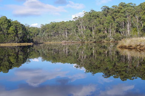 Leven River Picnic Cruise From Ulverstone - Kawana Tourism 1